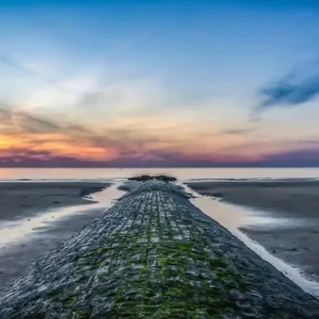 Apartamento La Stevi